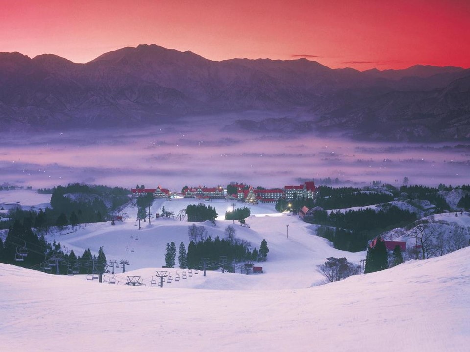 上越國際 JOETSU KOKUSAI