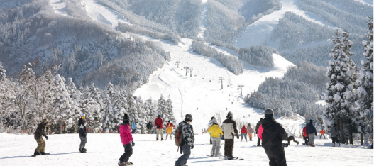 SKIJAM勝山