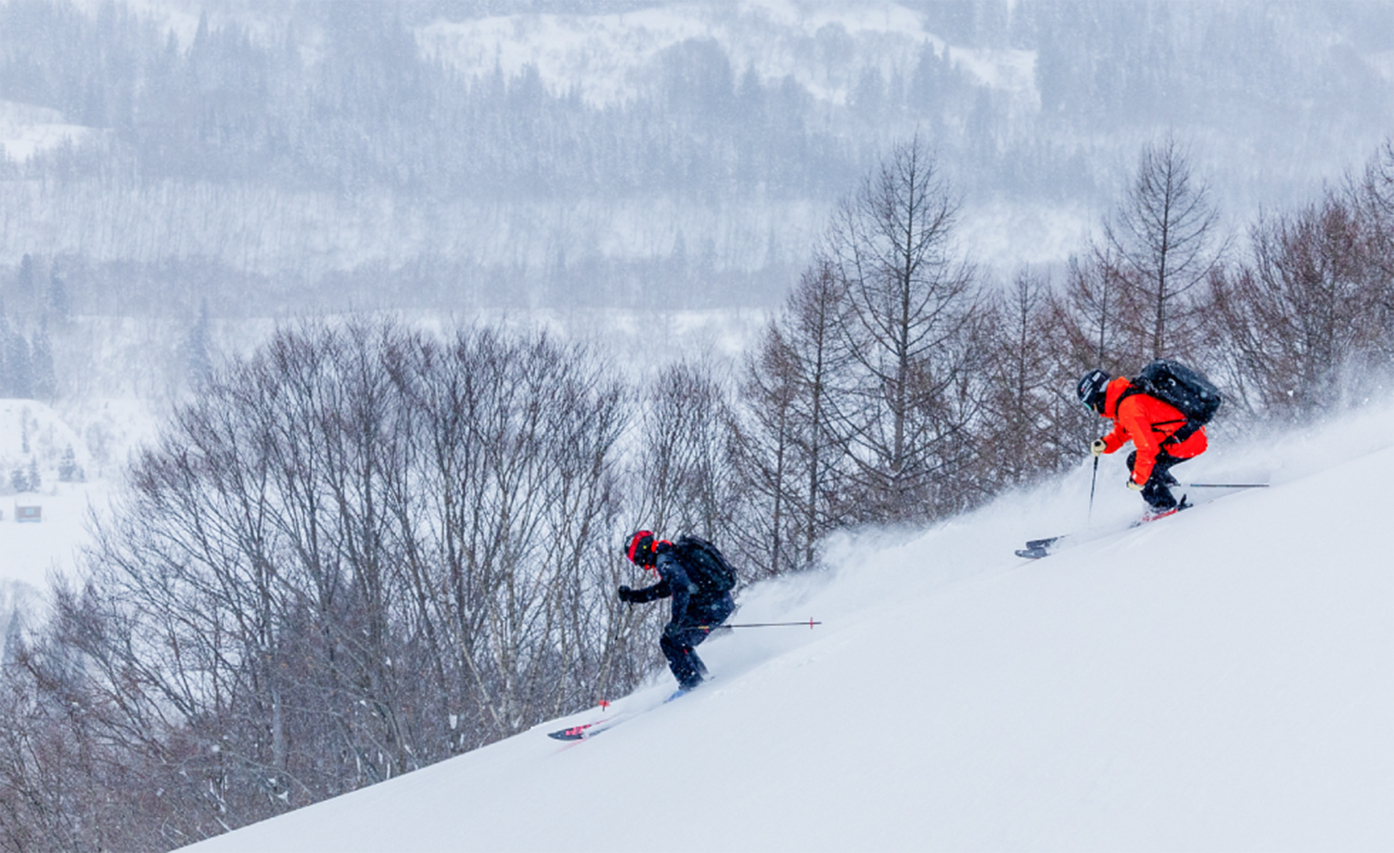 新潟縣 舞子 MAIKO