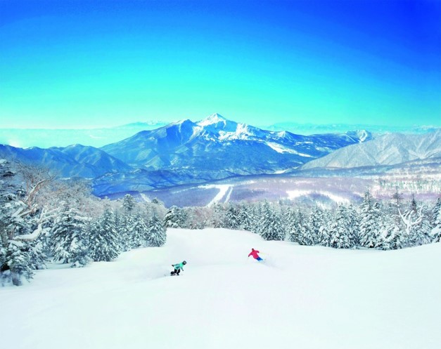 東北 豬苗代 滑雪五日